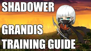 Maplestory Shadower Grandis Training Guide
