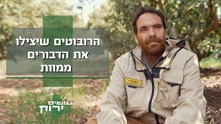 הרובוטים שיצילו את הדבורים ממוות | עושים ירוק