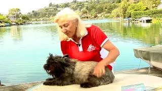 Linda Tellington-Jones demonstrates ear work & info about CA dog trainings