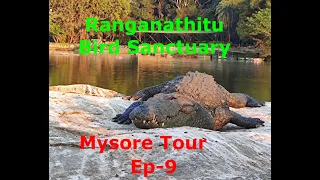 Ranganathitu Bird Sanctuary                Mysore Tour Ep-9