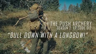 BULL DOWN WITH A LONGBOW! - Traditional Bowhunting -Season 2: Episode 012