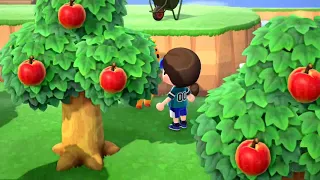 Animal crossing new horizons #25