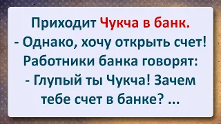 ⚜️ Чукча в Банке! Сборник Самых Смешных Анекдотов!