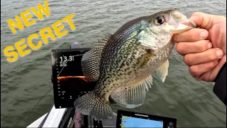 Tough Crappie Bite? (Not with this)