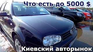 Какие авто можно купить на авторынке Киева до 5000 $