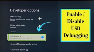 Google TV : How to Enable Developer Options and USB Debugging Mode