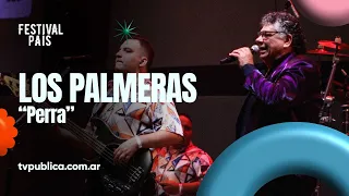 Perra por Los Palmeras en Cosquín - Festival País 2024