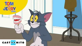 TOM VE JERRY | Şöhret Balosu | Cartoonito Türkiye