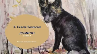 Домино, История одного черно-бурого лиса, Глава 2, НЕСЧАСТЬЕ