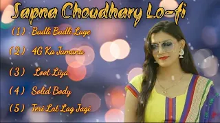Sapna Choudhary Top 5 New Haryanvi Songs | Lo-fi ( slowed & reverb ) #lofi