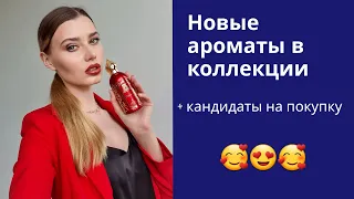 НОВЫЕ АРОМАТЫ + НОВЫЕ ХОТЕЛКИ - ИНТЕРЕСНЫЕ МЕТАМОРФОЗЫ