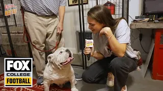 Charlotte Wilder meets UGA, the Georgia Bulldogs mascot | Ultimate College Football Road Trip