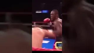 Deontay Wilder knocks out Ethan fox! The Bronx Bomber is a legend! #knockout #tko #deontaywilder