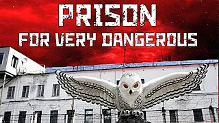 THIS PRISON IS FEARED BY ALL CRIMINALS IN RUSSIA / POLAR OWL PRISON