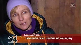 В РТ больная бешенством лиса забежала во двор и пыталась наброситься на человека