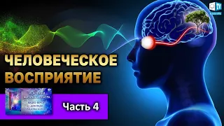 Человеческое восприятие l Часть 4 | ИСКОННАЯ ФИЗИКА АЛЛАТРА