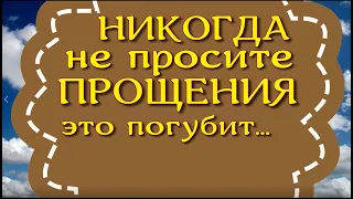 Никогда не просите прощения. Это погубит