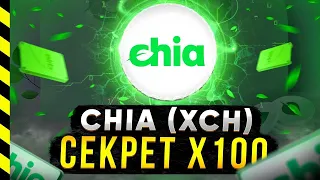 CHIA NETWORK (XCH) - МОНЕТА НА 100 ИКСОВ. ЧАСТЬ 2