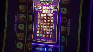 Slot Machine 老虎机赢钱策略 马上订阅 凯利策略频道