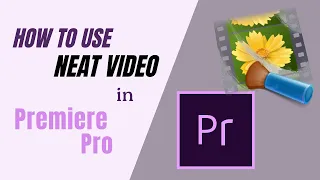 How to use Neat Video in Premiere Pro. Quick Start Guide
