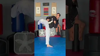 Taekwondo Roundhouse