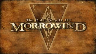Morrowind 25 Mods