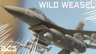 [DCS:ASMR] Viper Long Range Strike