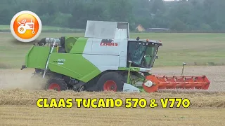 Harvest 2020 | Claas Tucano 570 combine harvester