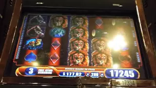 King of Africa super big win bonus