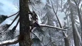Assassin's Creed 3 Tribute