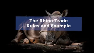 The Rhino Trade - Complex Option Spread Trading
