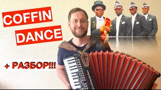 COFFIN DANCE (Astronomia) on accordion | РАЗБОР на аккордеоне | Урок аккордеона для начинающих |