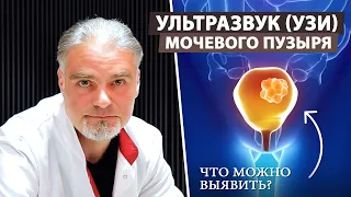 УЗИ мочевого пузыря: какие заболевания можно обнаружить?