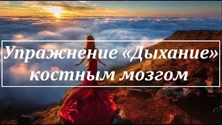 ✅"Дыхание" костным мозгом