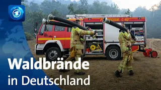 Großflächige Waldbrände in Sachsen und Brandenburg