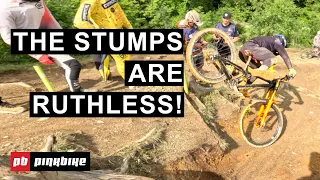 Leogang Privateer Course Preview - Mind The Stumps!