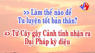 Làm thế nào để Tu luyện tốt bản thân?