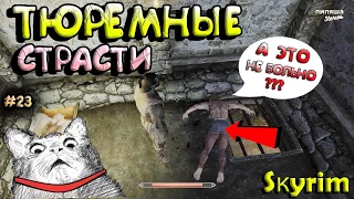 Skyrim "С чувством юмора" Приколы, Смешные нарезки