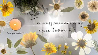 🤍✨🕊️ Та амьдралаасаа юу хүсэж байгаа вэ? Түүндээ яаж хүрэх вэ? 🤍✨🕊️