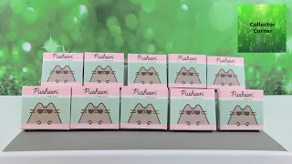 Pusheen The Cat Summer Collectible Pin Unboxing Blind Box Review | CollectorCorner