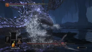 Darkeater Midir vs Paired Greatswords