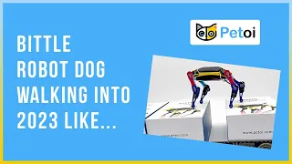 Build Your Own Programmable Robot Dog | Petoi Bittle STEM Kit | PetoiCamp