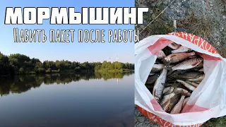 Мормышинг. Набить пакет после работы на ультралайт и микроприманки