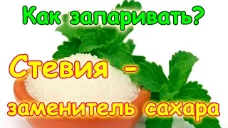 Как запаривать и использовать стевию (заменитель сахара). (03.17г.) Семья Бровченко.