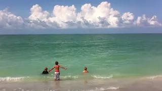 Dolphins chase boys from surf at Sanibel Island