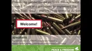 Preventing Gender-Based Violence through Arms Control