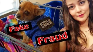 How to Spot a Fake Service Dog