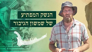 הנשק הכי קטלני בתנ"ך והחבל הכי חזק של הזמן הקדום |  בשביל הסיפור