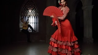 Flamenco (фламенко) коллектив