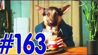 ПРИКОЛЫ / JOKES [PrivetShowChannel] ВЫПУСК #163